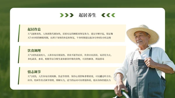 绿色小满节气介绍通用模板