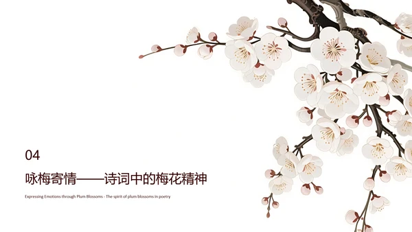 白色简约风梅花介绍PPT模板