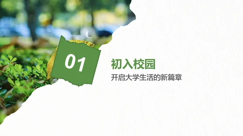 绿色剪纸风我的大学生活与成长故事PPT模板