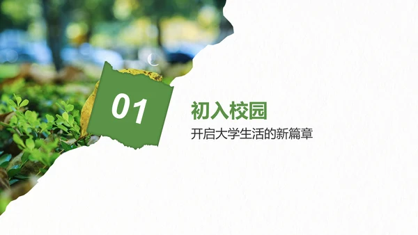 绿色剪纸风我的大学生活与成长故事PPT模板