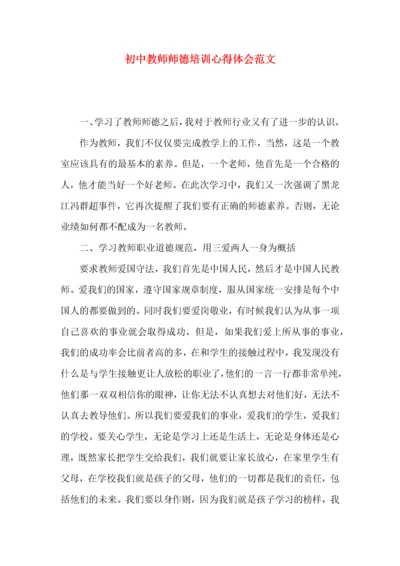 初中教师师德培训心得体会范文.docx