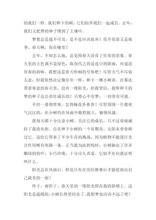春天里的作文-1.docx