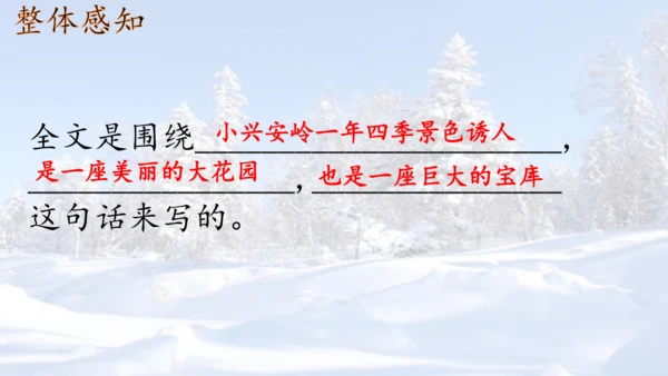 第20课《美丽的小兴安岭》课件