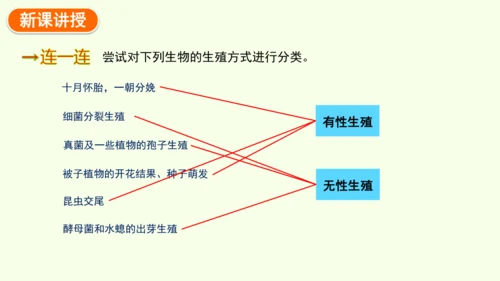 7.1.1植物的生殖-八年级生物人教版下学期同步精品课件(共33张PPT)