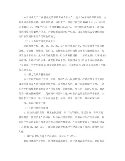 精编之乡镇年度农业农村工作总结优秀范文.docx