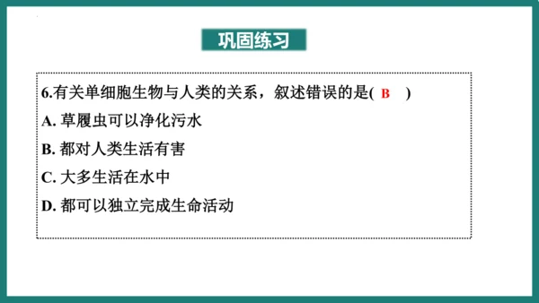 第一单元第三章从细胞到生物体（复习课件）-七年级生物上册同步教学精制课件（人教版2024）(共44张
