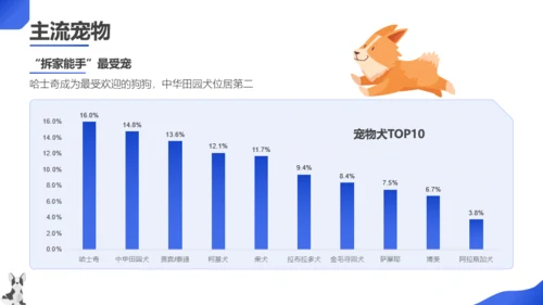 蓝色扁平风宠物主题班会PPT模板