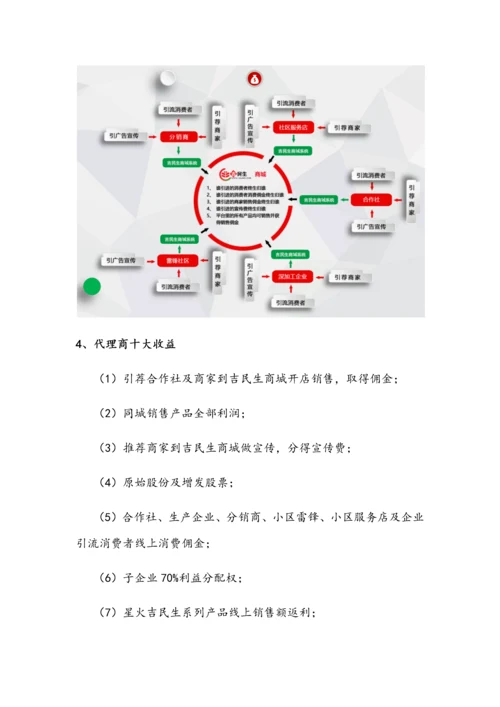 电子商务营销专项策划专业方案.docx