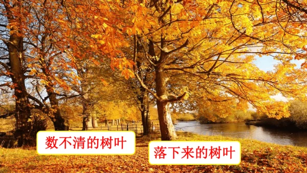 8 雨点儿  课件