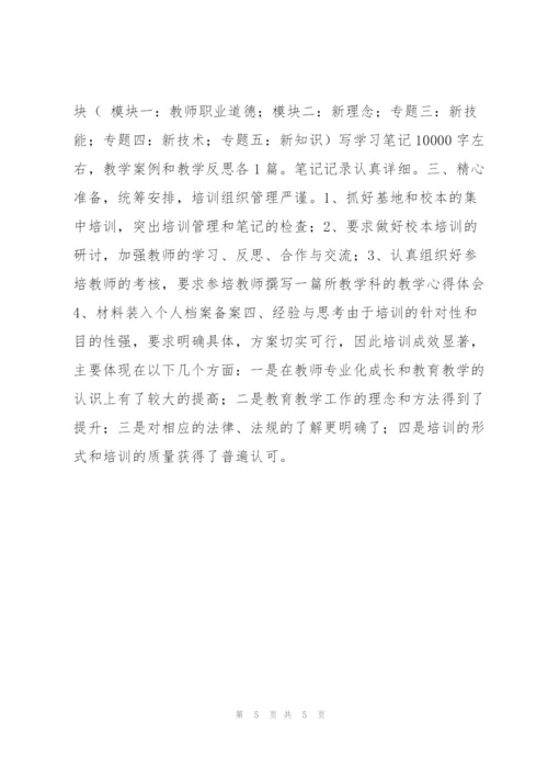 教师培训个人总结.docx