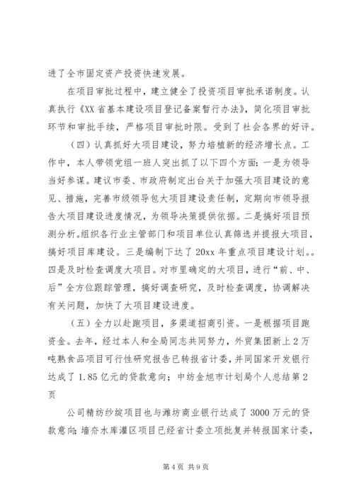 市计划局个人总结 (12).docx