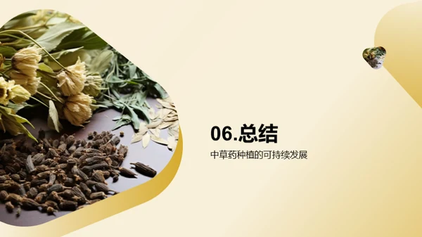 绿色农业：中草药种植新视角