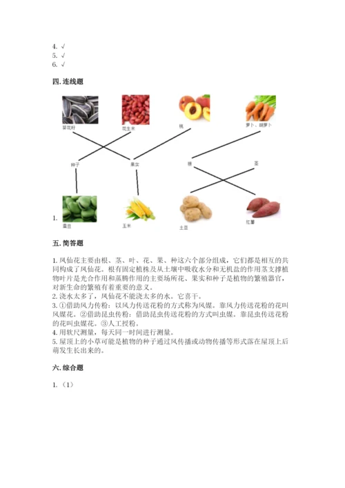 科学四年级下册第一单元《植物的生长变化》测试卷及完整答案（夺冠系列）.docx
