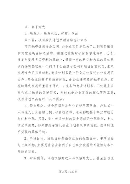 项目融资计划书 (6).docx