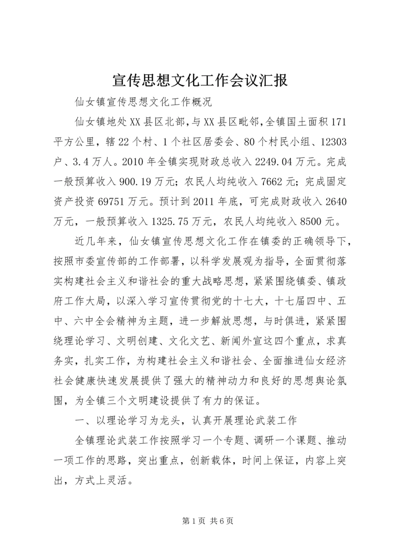 宣传思想文化工作会议汇报 (2).docx