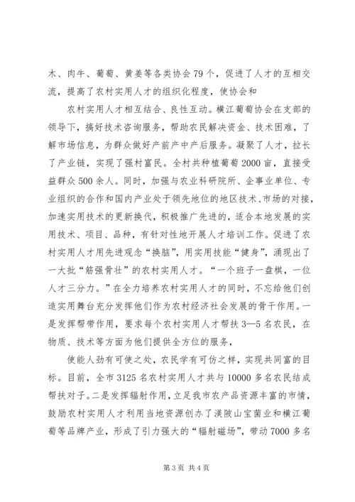 人才队伍建设工作总结(某年08).docx