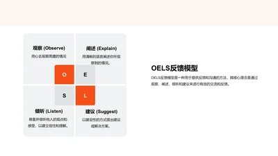 OELS反馈模型PPT图示