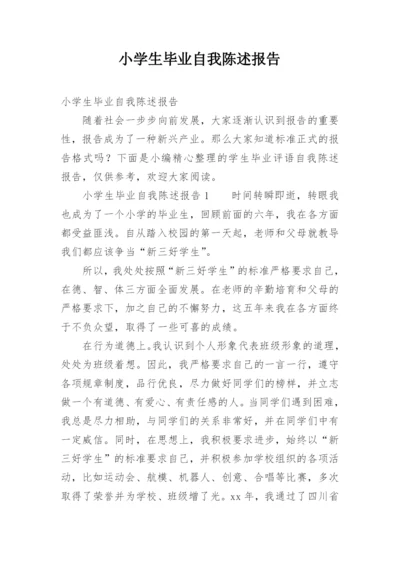 小学生毕业自我陈述报告.docx