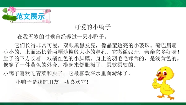 部编版二年级语文看图写话写动物课件