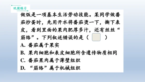 人教版生物七年级上册第一单元《生物与细胞》单元复习课件(共53张PPT)