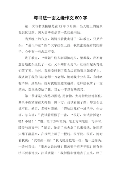 与书法一面之缘作文800字.docx