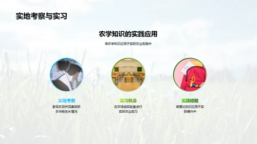 稻田科学种植