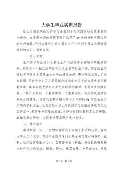 大学生毕业实训报告.docx