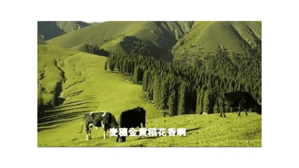 三下7 请到我的家乡来 第二课时 课件（78张PPT）含答疑