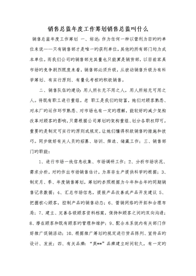 销售总监年度工作计划2022销售总监叫什么