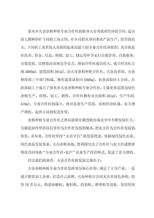 杂粮种植专业合作社调查报告