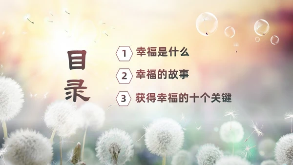 清新简约蒲公英3月20日国际幸福日追求幸福建设未来PPT