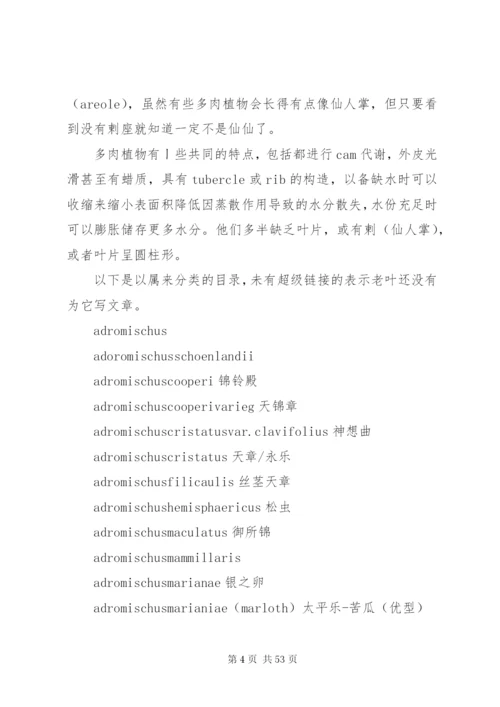 多肉公司建立方案.docx
