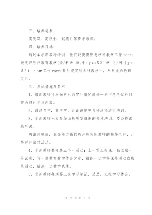 中学2010年青年教师培养方案.docx