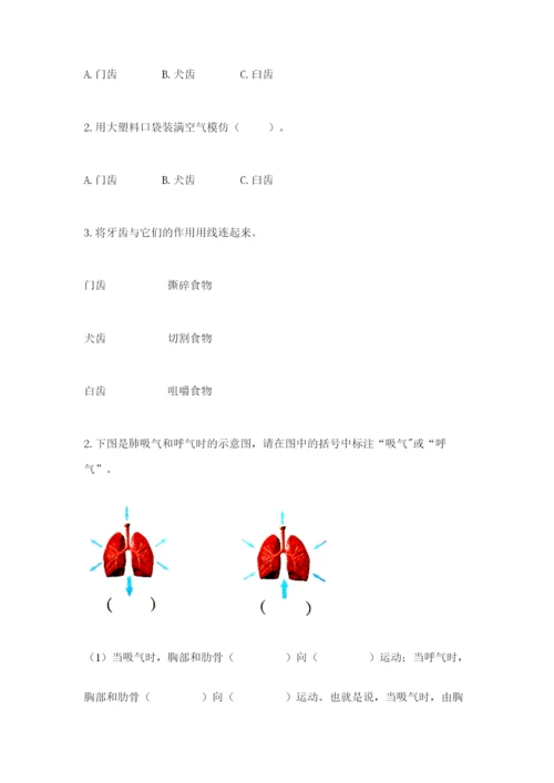 教科版四年级上册科学期末测试卷及完整答案.docx