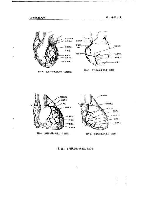 冠脉病变程度对心率变异性的影响心血管内科专业论文