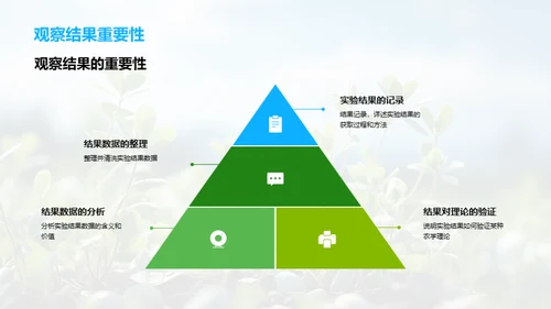 农学实验全方位解析