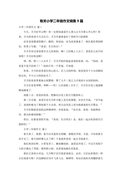 有关小学二年级作文锦集9篇.docx