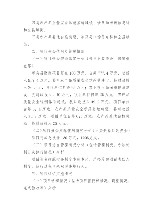 项目支出绩效目标执行监控报告.docx