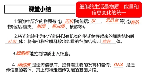 2.1.4细胞的生活课件2023--2024学年人教版生物七年级上册(共34张PPT)