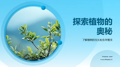 探索植物的奥秘