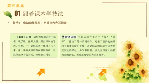 统编版语文四年级上册2024-2025学年度第五单元习作： 生活万花筒（课件）