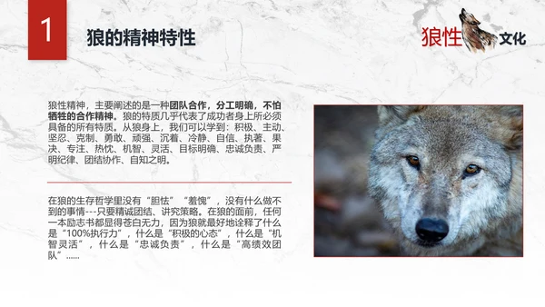 团队企业文化狼性文化员工培训PPT