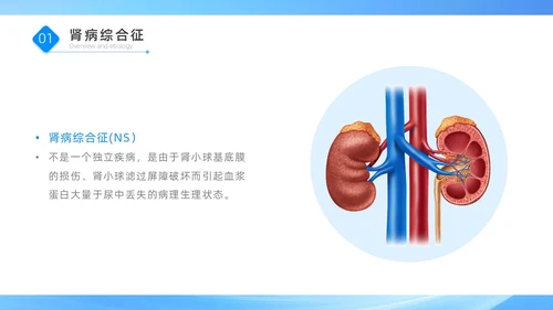 蓝色医疗简约商务风肾病综合征患者的治疗与护理PPT模板世界肾脏日
