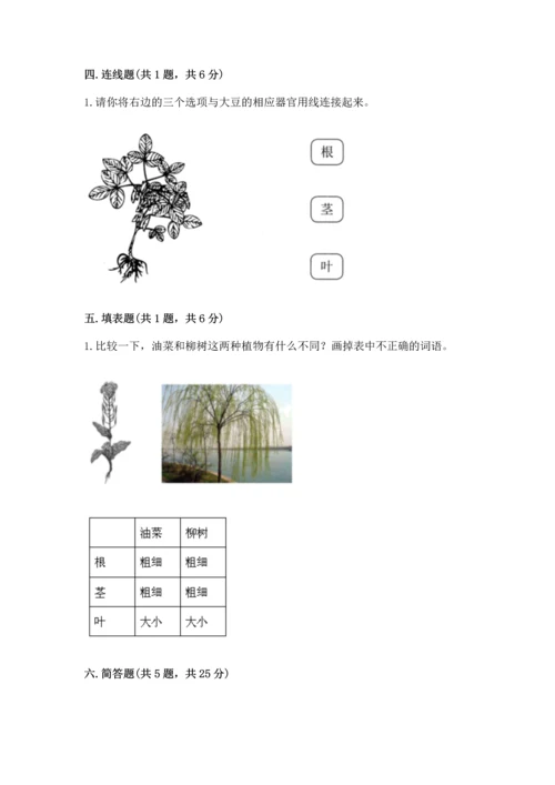 教科版一年级上册科学期末测试卷word版.docx
