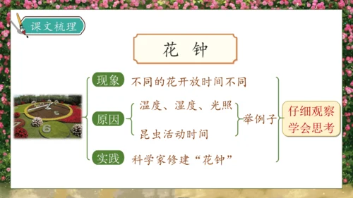 【核心素养】部编版语文三年级下册-13. 花钟 第2课时（课件）