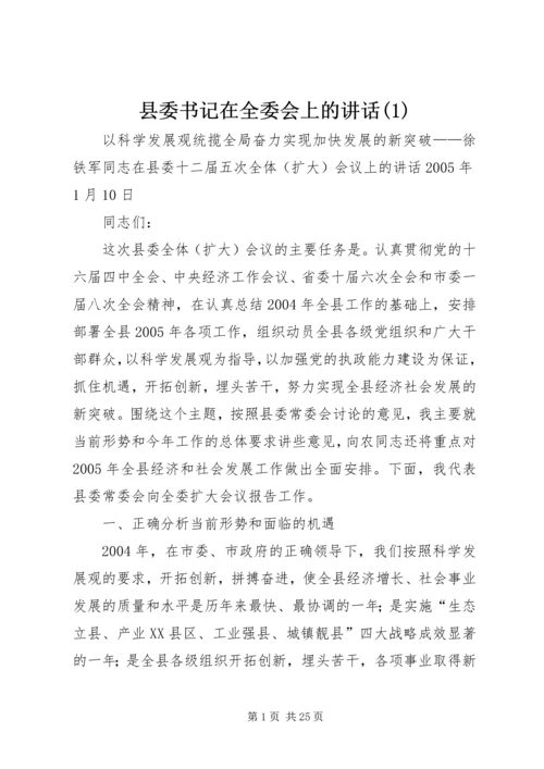 县委书记在全委会上的讲话(1).docx