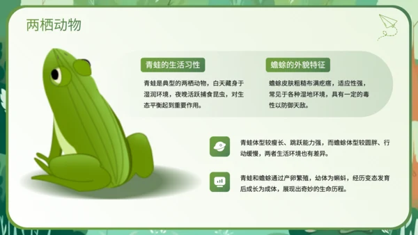绿色插画风科普知识动物PPT