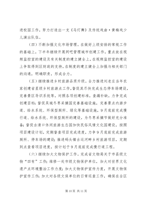 文广新局20XX年上半年工作总结及20XX年下半年工作计划.docx
