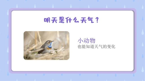 蓝色卡通插画简约小小气象员幼儿园认识天气教学课件PPT课件