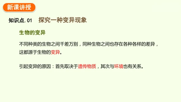 7.2.5生物的变异-八年级生物人教版下学期同步精品课件(共34张PPT)